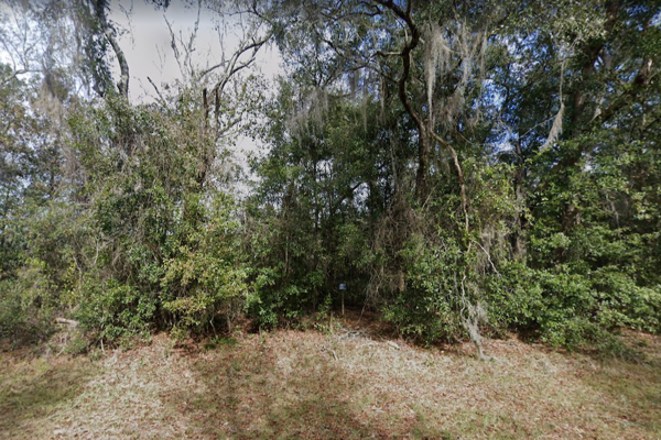 Oak trees and Spanish moss on a quiet wooded lot in Interlachen
